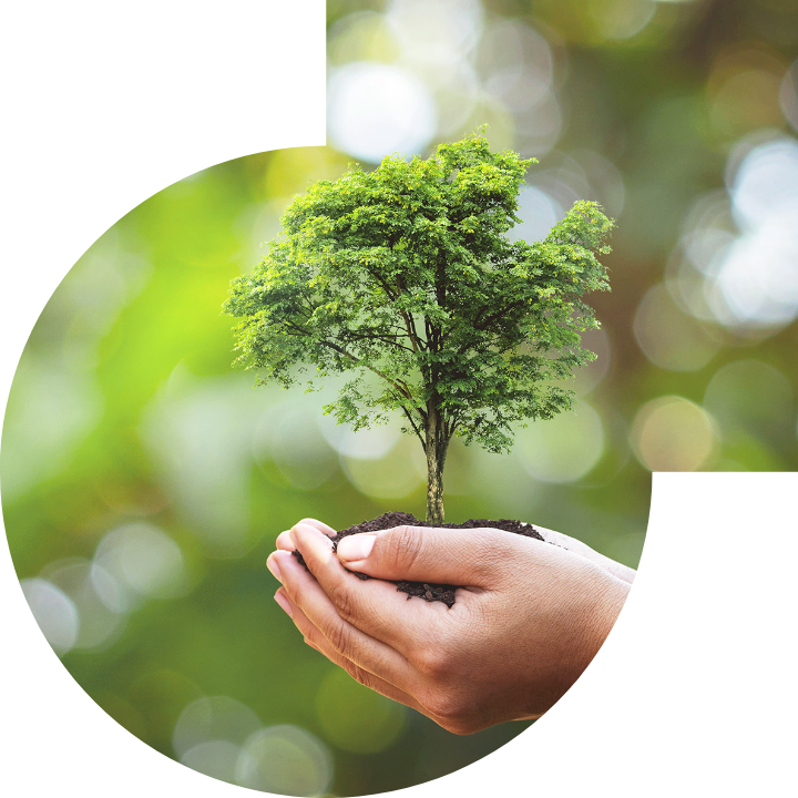 关怀人类、文化、环境与社会